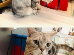 -平行世界·猫咖(首经贸店)