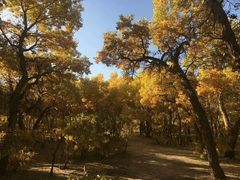 -敦煌莫高国际机场