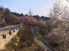 -北京西山国家森林公园