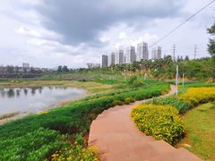 -安宁市宁湖森林公园