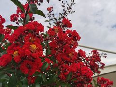 -小八仙·宴(三峡茶庄店)