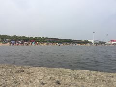 -碧海金沙
