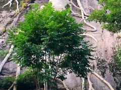-丹东天桥沟景区