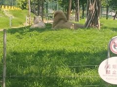 -秦皇岛野生动物园