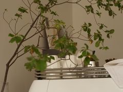 -Eu2+ coffee(上大路店)