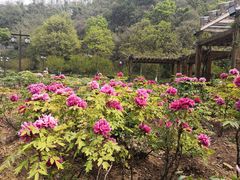 -幕燕滨江·长江观音景区