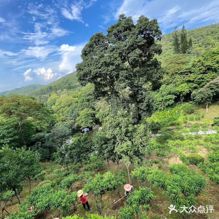 广州白云山桑拿之旅
