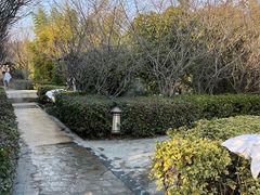 -汤山一号温泉度假区