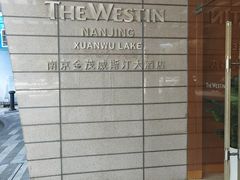 -湖景知味西餐厅•自助餐• 轻食(南京金茂威斯汀大酒店)