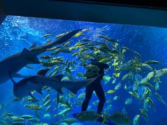 -太平洋海底世界