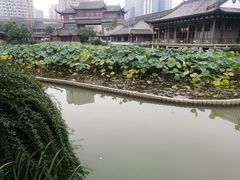 -龙潭水乡