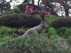 -自贡恐龙博物馆