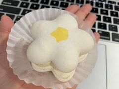 半熟花花马卡龙茉莉香梨味-好利来(山东路店)