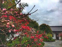-南汇桃花村