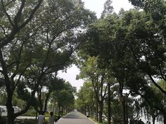 -东钱湖小普陀景区