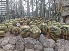 -南山植物园
