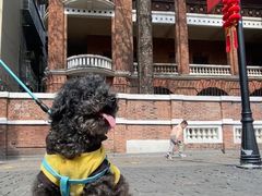 -爱侣宠医·鹦鹉专科·小型哺乳类·异宠专科(灵石路店)