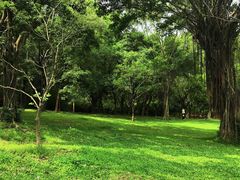 -广州市白云山风景名胜区