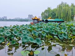 -济南大明湖景区