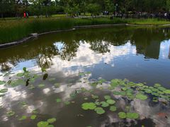 -西海子公园