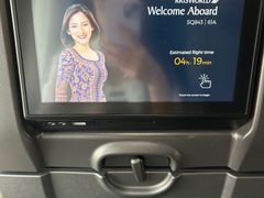 -新加坡航空公司(ION)