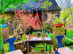 -桑洲油菜花景区