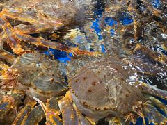 -盒马鲜生(馥邦国际店)