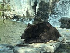 -北京野生动物园