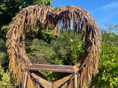 -广州白江湖森林公园