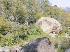 -云岫谷游猎自然风景区