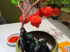 -奔跑吧陕菜·盛世长安(民乐园万达店)