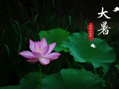 -朝阳公园