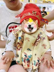 -天禧专业理胎发纪念品乐园·婴儿宝宝理发剃胎毛胎头胎毛笔定制店