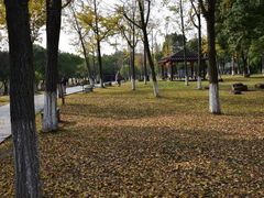 -苏州太湖湖滨国家湿地公园