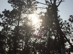 -东海森林温泉度假酒店