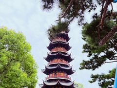 -龙华素斋(龙华路店)