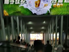 -海口东站