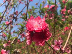 -广东花都湖国家湿地公园