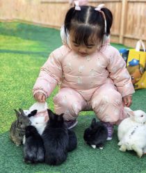 -萌宠亲子动物乐园(槐房万达店)