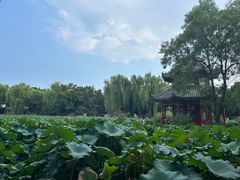 -莲池书院博物馆