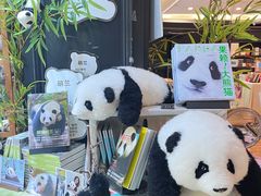 -轩客会(熊猫书店)