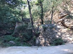 -北京上方山国家森林公园