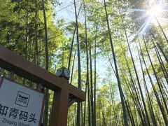 -同里国家湿地公园