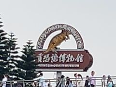 -自贡恐龙博物馆