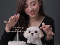 -萌宠之家·腊肠犬·马尔泰·小体犬舍