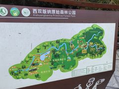 -西双版纳原始森林公园