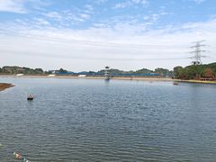 -水濂山森林公园