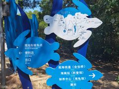 -广东惠东海龟国家级自然保护区