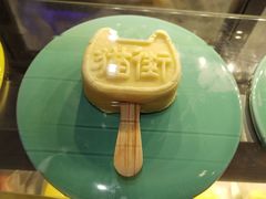 -猫咪博物馆(顶澳仔猫街店)