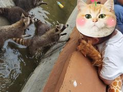 -泉州海丝野生动物世界